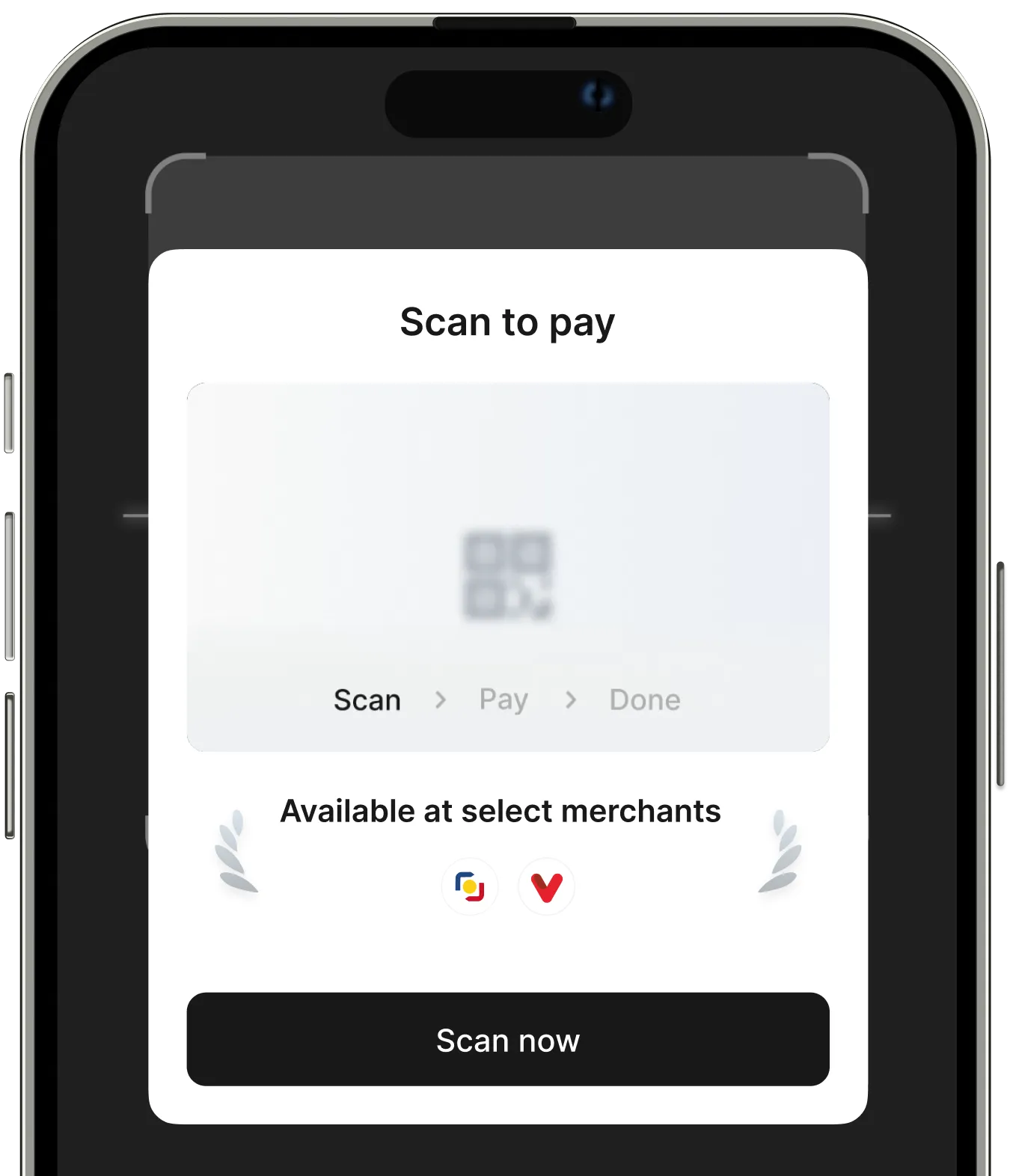 Scan to Pay